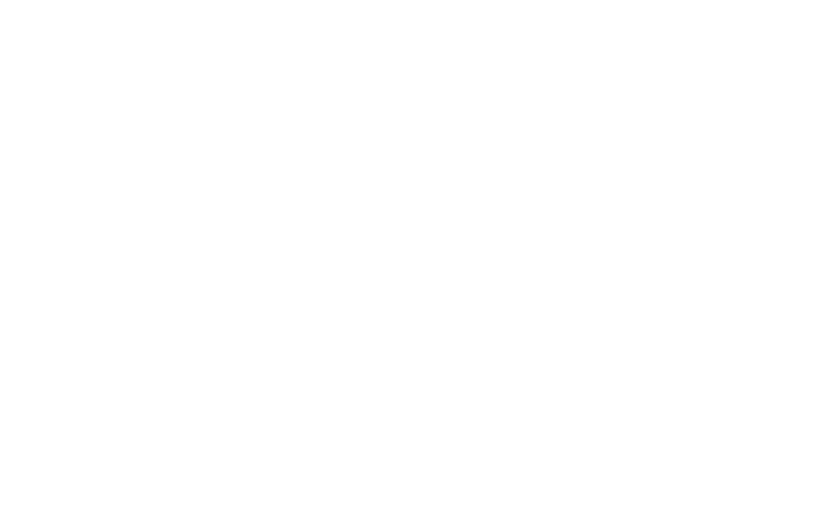 Logo-Final-Reis-Souza-PNG-e1766348653236